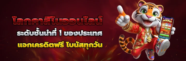 tnk8